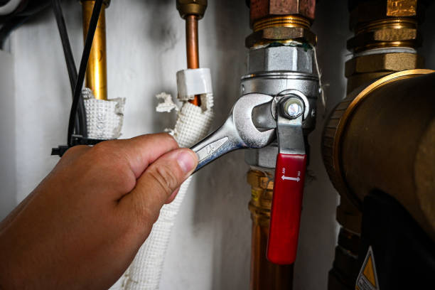 Best Plumbing Inspection Services  in Mulberry, IN